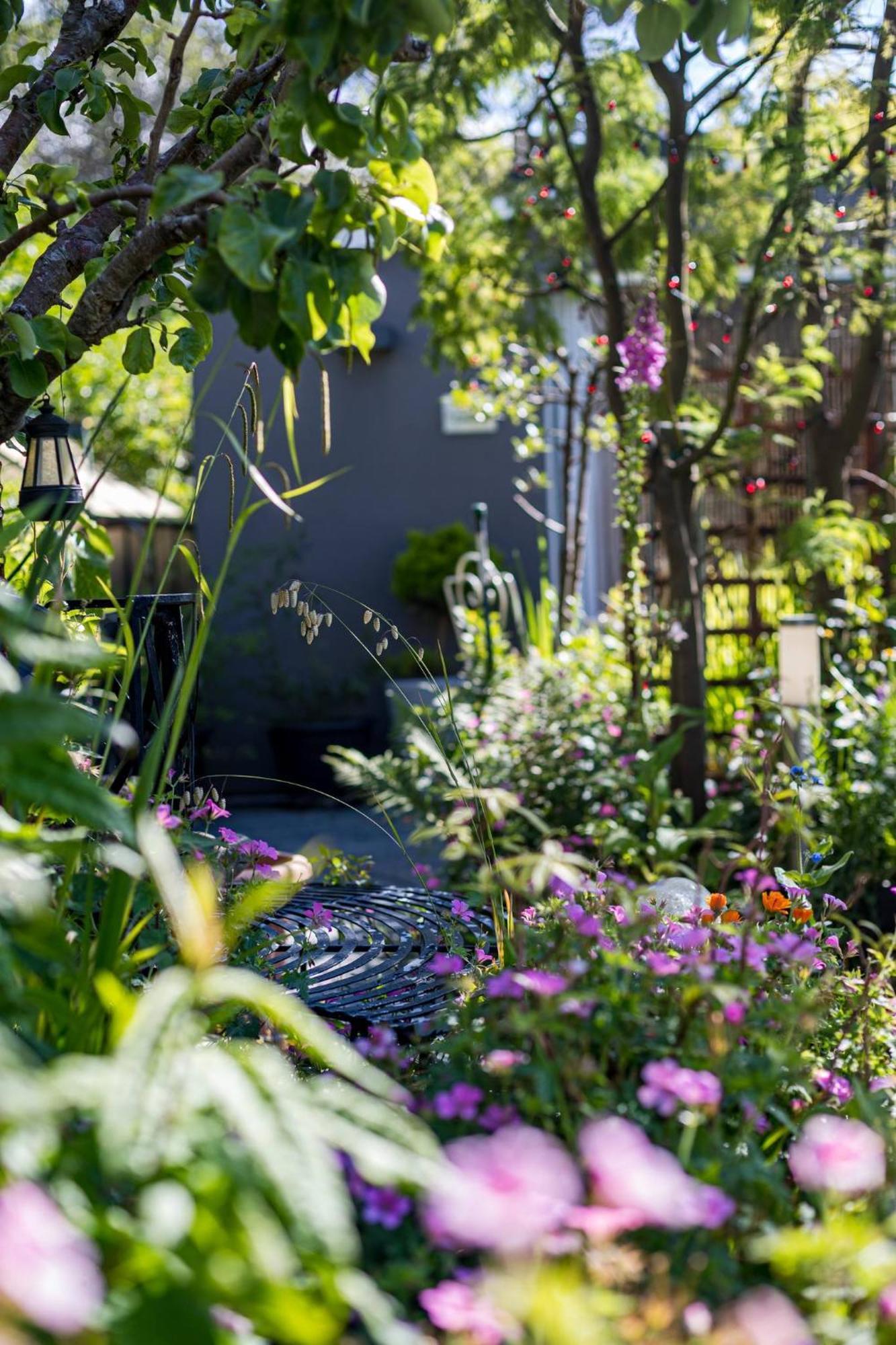 Hideaway Cabin For Two On Edge Of New Forest Hinton  Eksteriør billede